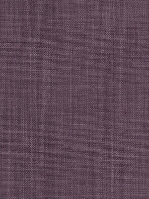 Spectrum U4-GRAPEADE 329357