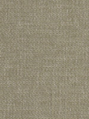 Trace O11-SEAGRASS 329361